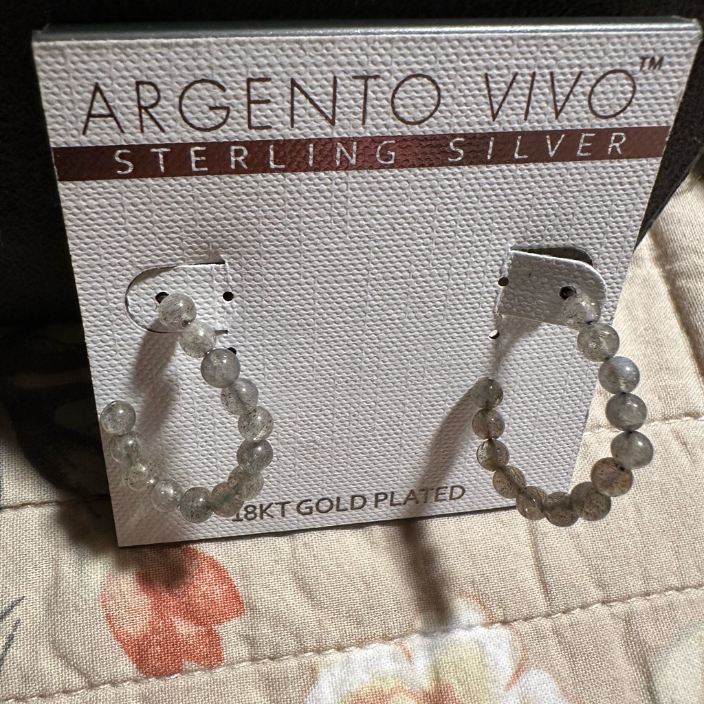 Argento Vivo Sterling Silver Hoop Earrings 10$